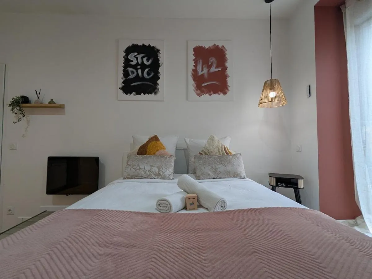 Studio 42 With Terrace Roanne Francia